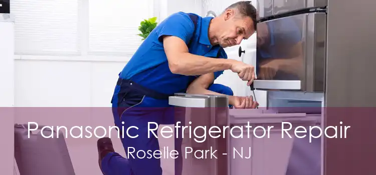 Panasonic Refrigerator Repair Roselle Park - NJ