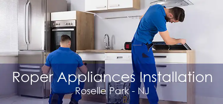 Roper Appliances Installation Roselle Park - NJ