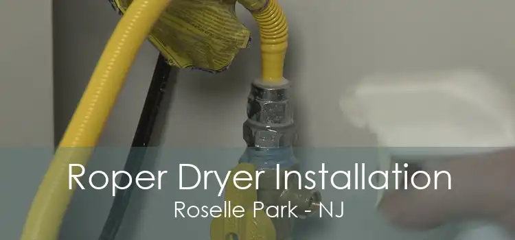 Roper Dryer Installation Roselle Park - NJ
