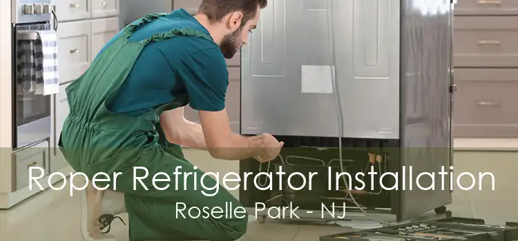 Roper Refrigerator Installation Roselle Park - NJ