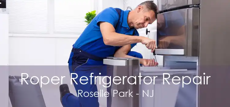 Roper Refrigerator Repair Roselle Park - NJ