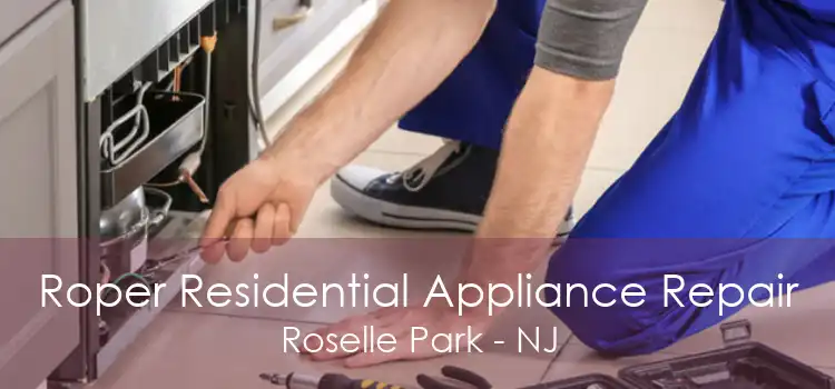 Roper Residential Appliance Repair Roselle Park - NJ