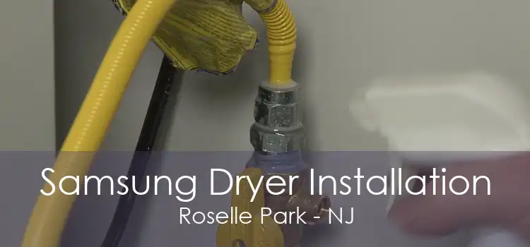Samsung Dryer Installation Roselle Park - NJ