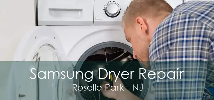 Samsung Dryer Repair Roselle Park - NJ