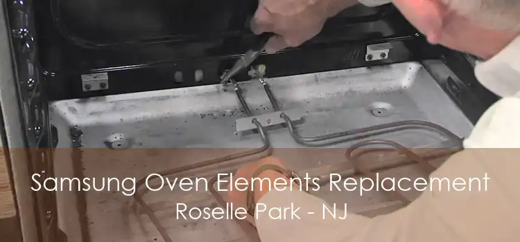 Samsung Oven Elements Replacement Roselle Park - NJ