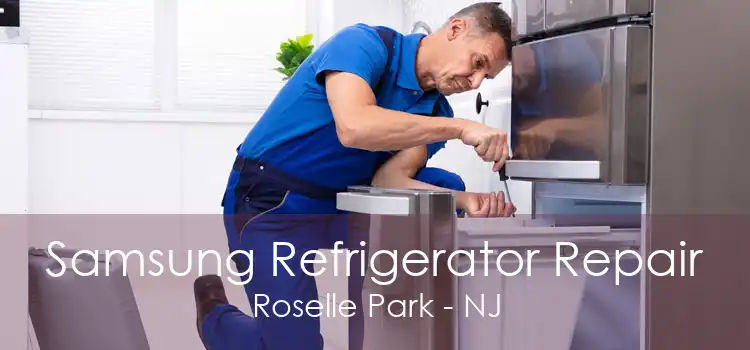 Samsung Refrigerator Repair Roselle Park - NJ