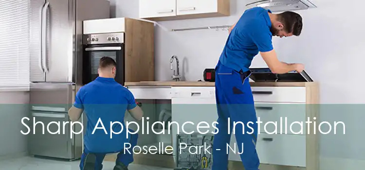 Sharp Appliances Installation Roselle Park - NJ