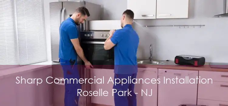 Sharp Commercial Appliances Installation Roselle Park - NJ