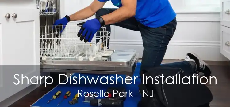Sharp Dishwasher Installation Roselle Park - NJ