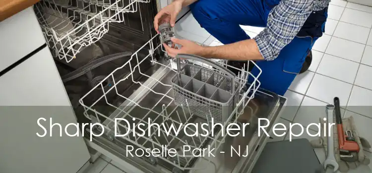 Sharp Dishwasher Repair Roselle Park - NJ