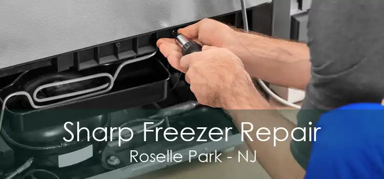 Sharp Freezer Repair Roselle Park - NJ