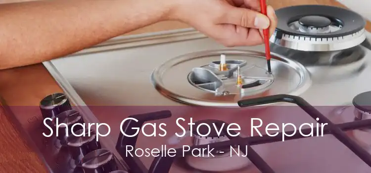 Sharp Gas Stove Repair Roselle Park - NJ