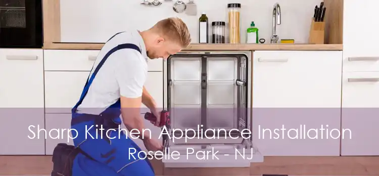 Sharp Kitchen Appliance Installation Roselle Park - NJ