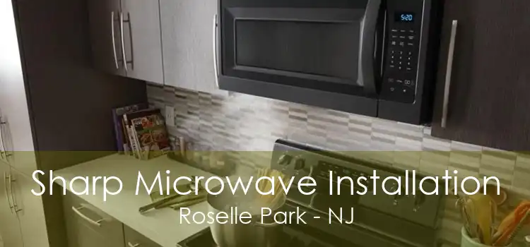 Sharp Microwave Installation Roselle Park - NJ