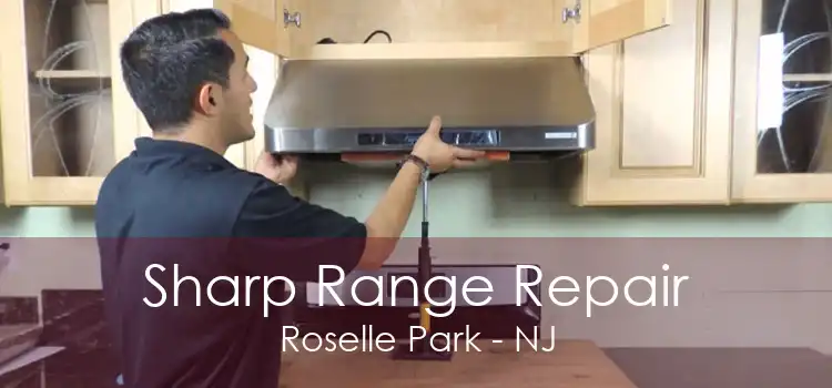 Sharp Range Repair Roselle Park - NJ