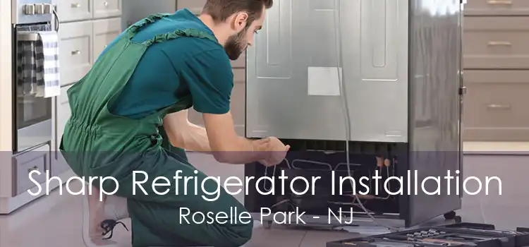 Sharp Refrigerator Installation Roselle Park - NJ