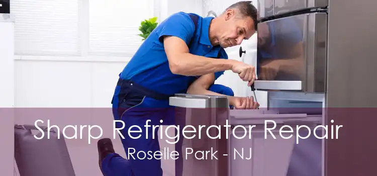 Sharp Refrigerator Repair Roselle Park - NJ