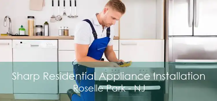 Sharp Residential Appliance Installation Roselle Park - NJ