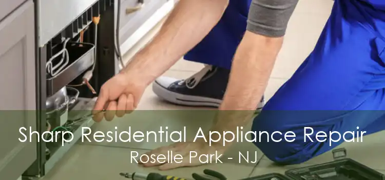 Sharp Residential Appliance Repair Roselle Park - NJ