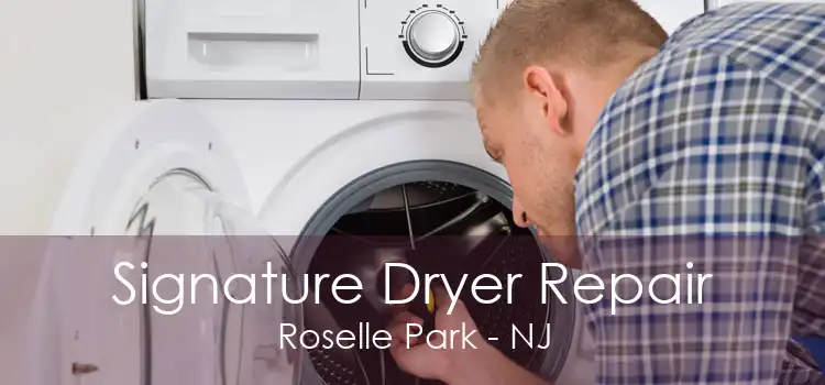 Signature Dryer Repair Roselle Park - NJ