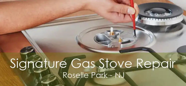 Signature Gas Stove Repair Roselle Park - NJ