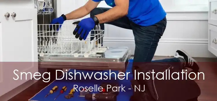Smeg Dishwasher Installation Roselle Park - NJ