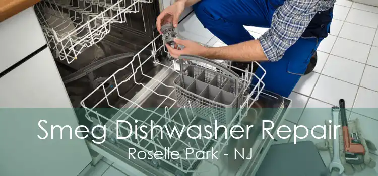 Smeg Dishwasher Repair Roselle Park - NJ