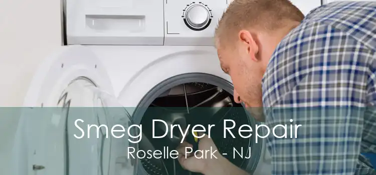 Smeg Dryer Repair Roselle Park - NJ