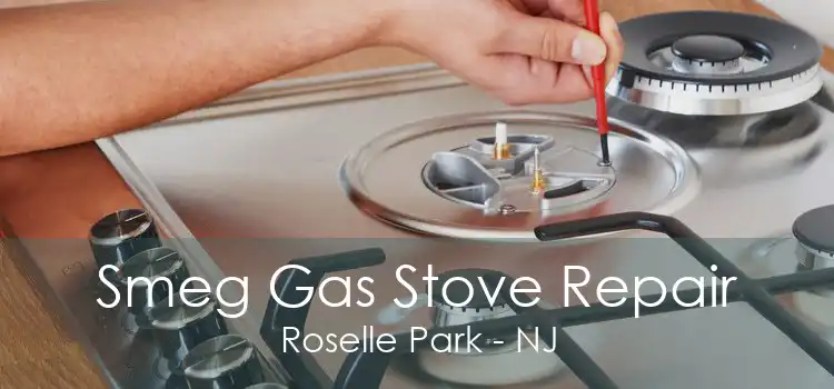 Smeg Gas Stove Repair Roselle Park - NJ