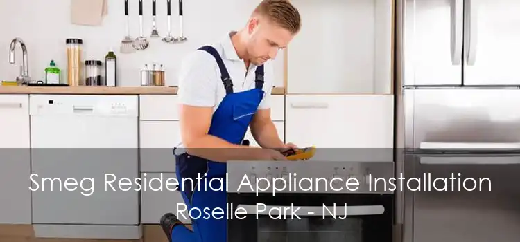 Smeg Residential Appliance Installation Roselle Park - NJ