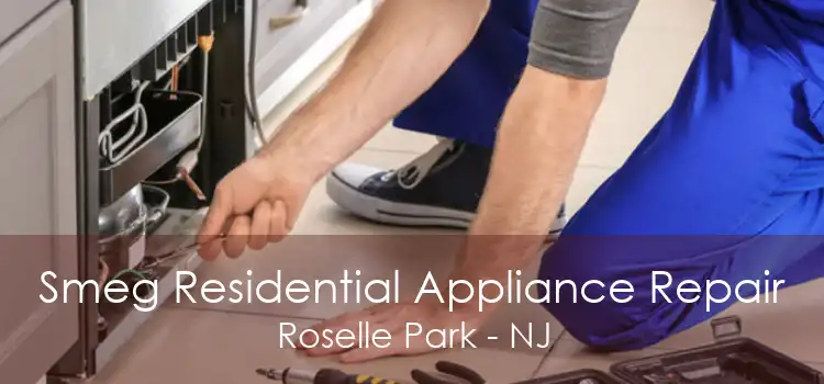 Smeg Residential Appliance Repair Roselle Park - NJ