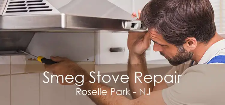 Smeg Stove Repair Roselle Park - NJ