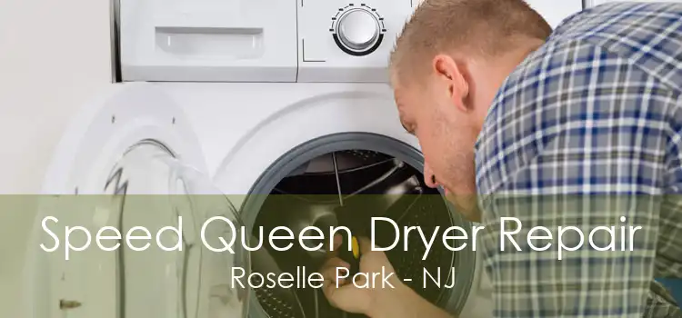 Speed Queen Dryer Repair Roselle Park - NJ