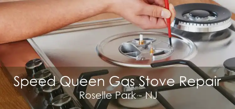 Speed Queen Gas Stove Repair Roselle Park - NJ