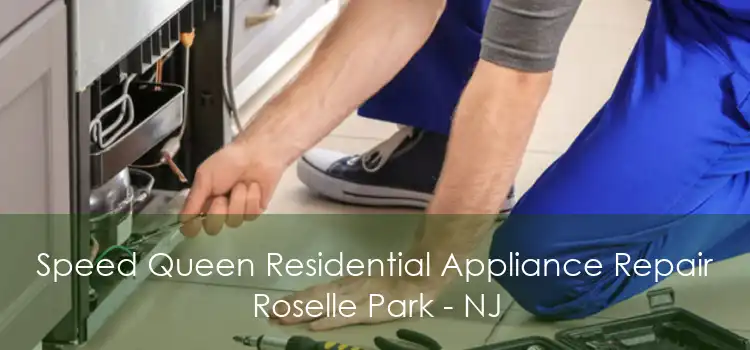 Speed Queen Residential Appliance Repair Roselle Park - NJ
