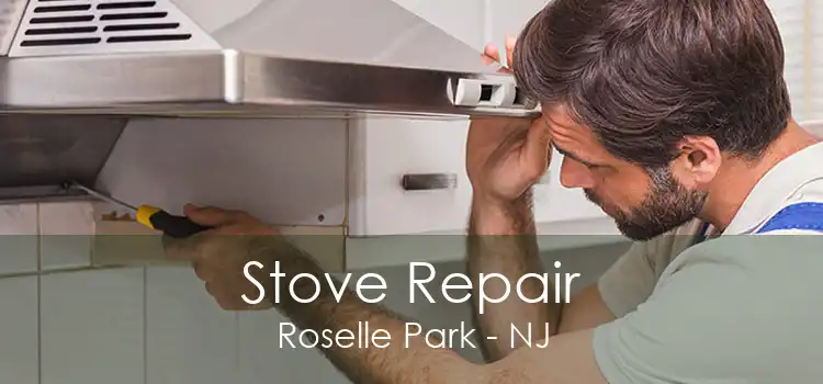 Stove Repair Roselle Park - NJ