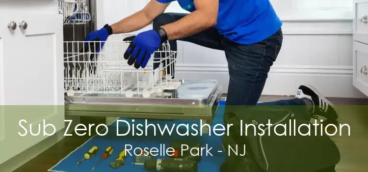 Sub Zero Dishwasher Installation Roselle Park - NJ