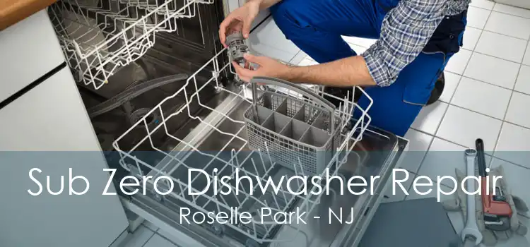 Sub Zero Dishwasher Repair Roselle Park - NJ