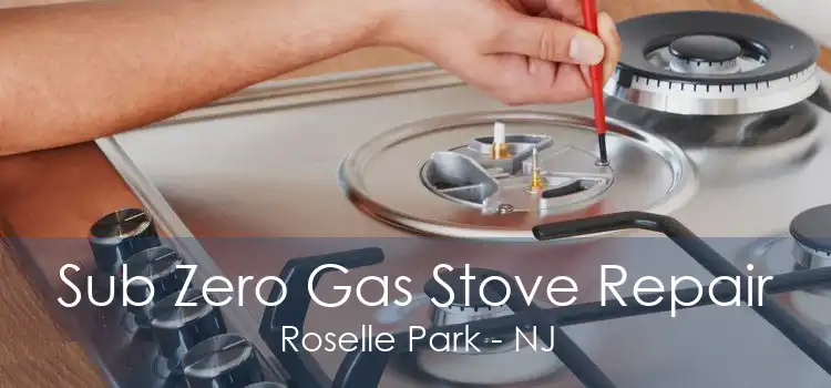 Sub Zero Gas Stove Repair Roselle Park - NJ