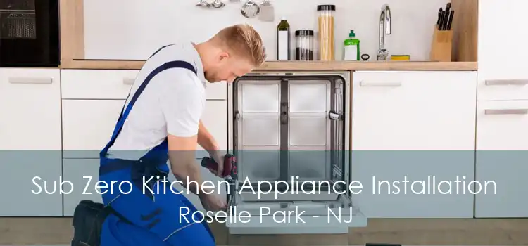 Sub Zero Kitchen Appliance Installation Roselle Park - NJ