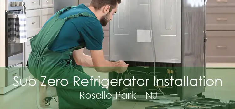 Sub Zero Refrigerator Installation Roselle Park - NJ