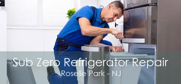 Sub Zero Refrigerator Repair Roselle Park - NJ