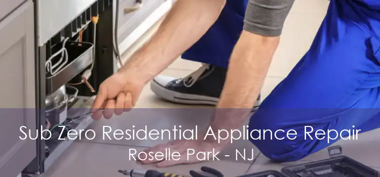 Sub Zero Residential Appliance Repair Roselle Park - NJ