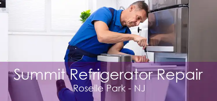 Summit Refrigerator Repair Roselle Park - NJ