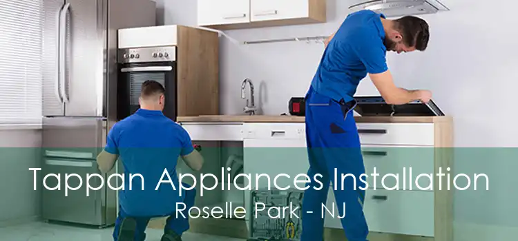 Tappan Appliances Installation Roselle Park - NJ