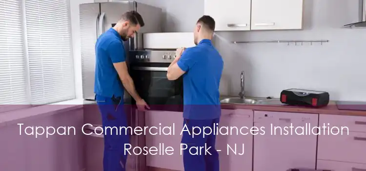 Tappan Commercial Appliances Installation Roselle Park - NJ