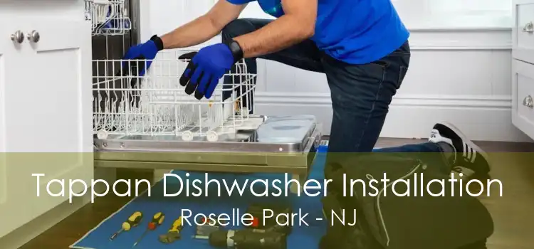 Tappan Dishwasher Installation Roselle Park - NJ