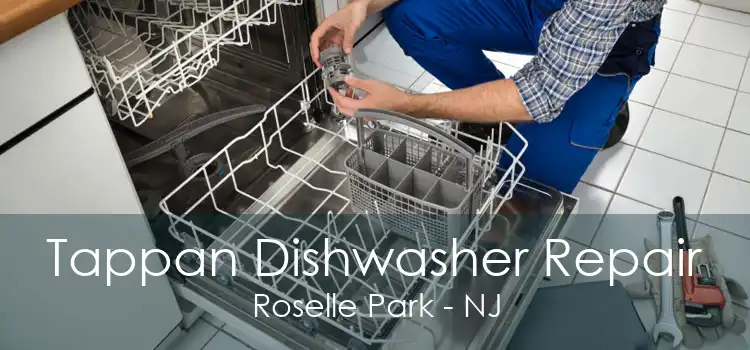 Tappan Dishwasher Repair Roselle Park - NJ