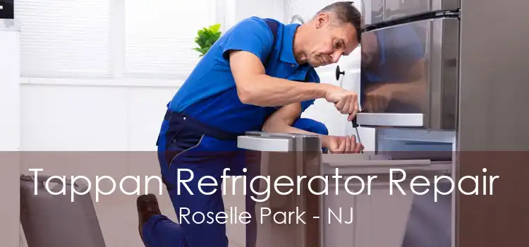Tappan Refrigerator Repair Roselle Park - NJ