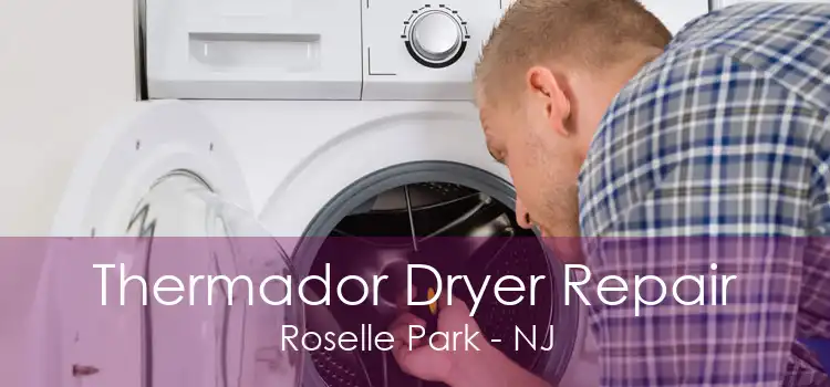 Thermador Dryer Repair Roselle Park - NJ